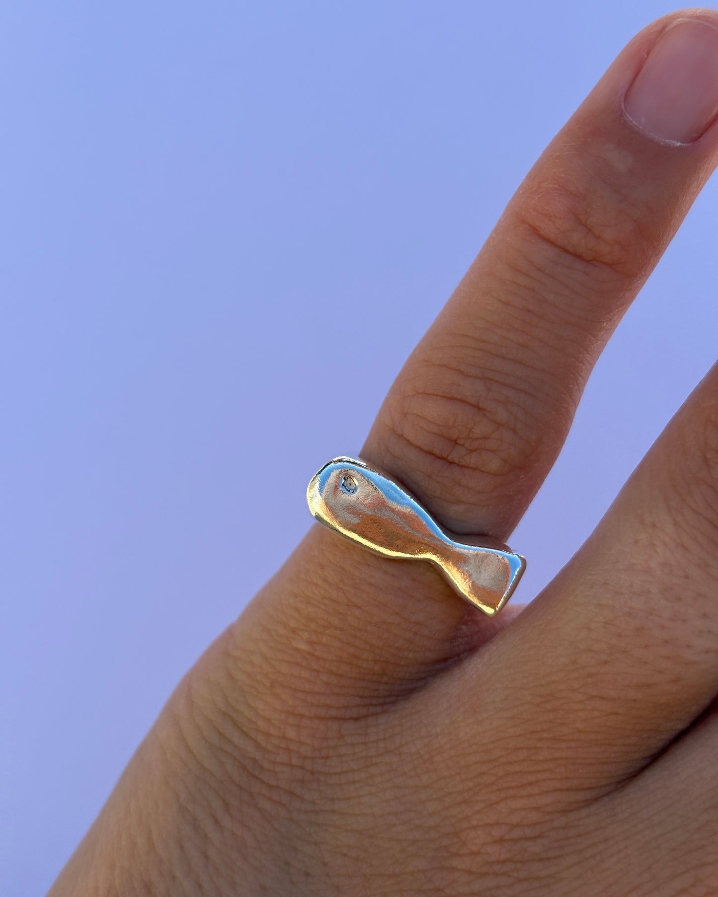 Fish Ring K