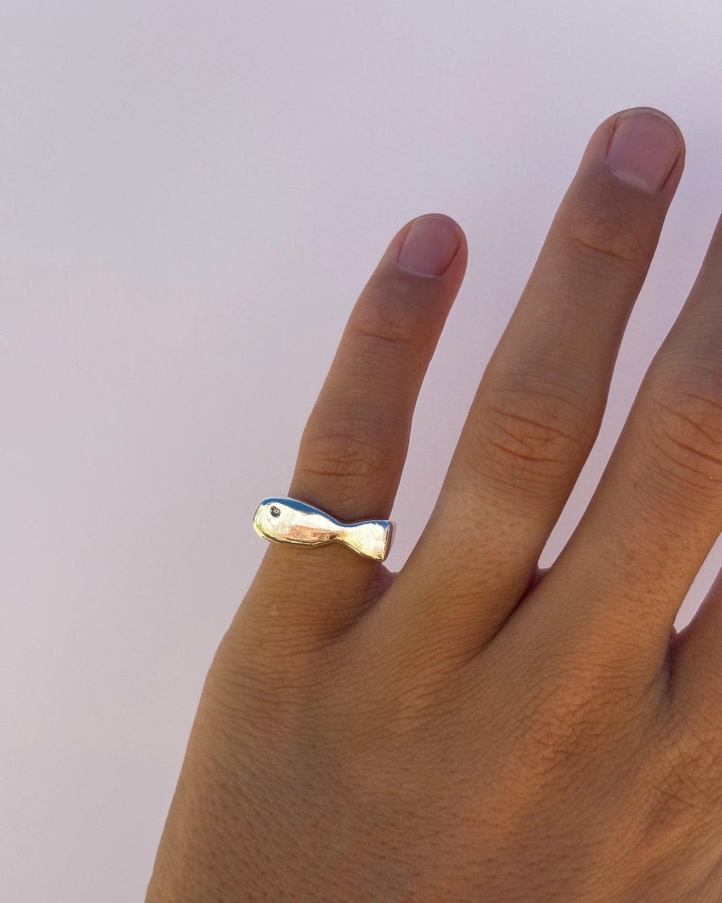 Fish Ring K